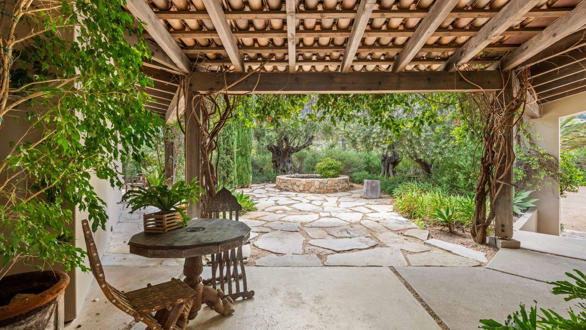 Pergola couverte de vigne au-dessus d'une terrasse dallée