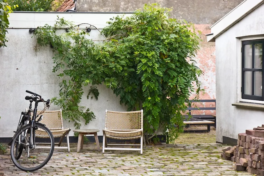 Pergola en bois couverte de vigne au-dessus d’une terrasse